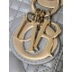 DIOR Mini Lady Dior Bag Grey Pearlescent Cannage Lambskin Gold Hardware