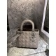 DIOR Medium Lady Dior Bag Grey Lambskin Silver Hardware