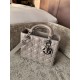 DIOR Medium Lady Dior Bag Grey Lambskin Silver Hardware