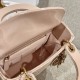 DIOR Mini Lady Dior Bag Powder Pink Patent Cannage Calfskin Gold Hardware