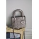 DIOR Mini Lady Dior Bag Gray Strass Cannage Satin Sliver Hardware