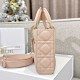 DIOR Medium Lady D-Joy Bag Powder Pink Cannage Lambskin Gold Hardware