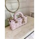 DIOR Small Lady D-Joy Bag Pale Pink Cannage Lambskin Gold Hardware