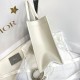 DIOR Medium Dior Book Tote Latte Macrocannage Calfskin with Gold Hardware