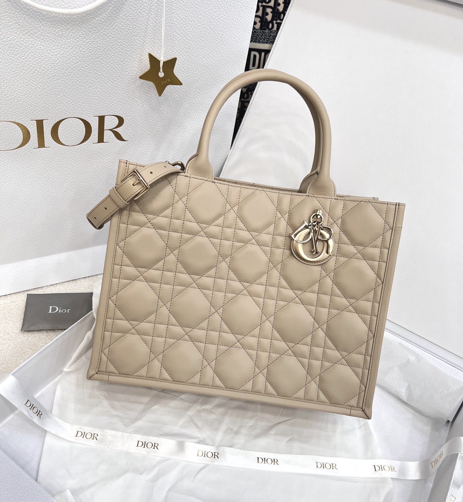 DIOR Medium Dior Book Tote Powder Beige Macrocannage Calfskin with Gold Hardware