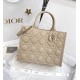 DIOR Medium Dior Book Tote Powder Beige Macrocannage Calfskin with Gold Hardware