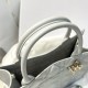 DIOR Medium Dior Book Tote Cloud Gray Macrocannage Calfskin with Gold Hardware