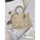 DIOR Small Dior Book Tote Powder Beige Macrocannage Calfskin with Gold Hardware