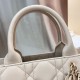 DIOR Small Dior Book Tote Powder Beige Macrocannage Calfskin with Gold Hardware