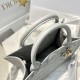 DIOR Small Dior Book Tote Cloud Gray Macrocannage Calfskin with Gold Hardware