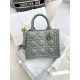 DIOR Small Dior Book Tote Stone Gray Macrocannage Calfskin with Gold Hardware