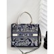 DIOR Small Dior Book Tote Blue and Ecru Toile de Jouy Reverse Embroidery and Blue Calfskin