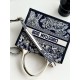 DIOR Small Dior Book Tote Blue and Ecru Toile de Jouy Reverse Embroidery and Blue Calfskin