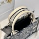 DIOR Small Dior Book Tote Blue and Ecru Toile de Jouy Reverse Embroidery and Blue Calfskin