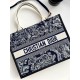 DIOR Medium Dior Book Tote Blue and Ecru Toile de Jouy Reverse Embroidery with Blue Calfskin 