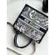 DIOR Small Dior Book Tote White and Navy Blue Toile de Jouy Sauvage Embroidery with Navy Blue Calfskin