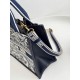 DIOR Small Dior Book Tote White and Navy Blue Toile de Jouy Sauvage Embroidery with Navy Blue Calfskin