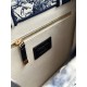 DIOR Small Dior Book Tote White and Navy Blue Toile de Jouy Sauvage Embroidery with Navy Blue Calfskin