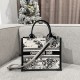 DIOR Small Dior Book Tote Latte and Black Dior Zodiac Embroidery with Black Calfskin