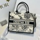 DIOR Medium Dior Book Tote Latte and Black Dior Zodiac Embroidery with Black Calfskin