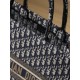 DIOR Large Dior Book Tote Ecru and Blue Dior Oblique Embroidery