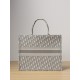 DIOR Large Dior Book Tote Ecru and Gray Dior Oblique Embroidery