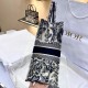 DIOR Large Dior Book Tote Ecru and Blue Toile de Jouy Embroidery