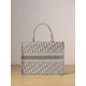 DIOR Medium Dior Book Tote Ecru and Gray Dior Oblique Embroidery