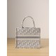 DIOR Small Dior Book Tote Ecru and Gray Dior Oblique Embroidery