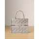 DIOR Small Dior Book Tote Ecru and Gray Dior Oblique Embroidery