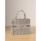 DIOR Small Dior Book Tote Ecru and Gray Dior Oblique Embroidery