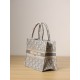 DIOR Small Dior Book Tote Ecru and Gray Dior Oblique Embroidery