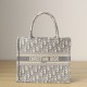 DIOR Small Dior Book Tote Ecru and Gray Dior Oblique Embroidery