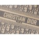 DIOR Small Dior Book Tote Ecru and Gray Dior Oblique Embroidery