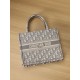 DIOR Small Dior Book Tote Ecru and Gray Dior Oblique Embroidery