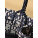 DIOR Small Dior Book Tote Ecru and Blue Dior Oblique Embroidery