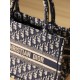 DIOR Small Dior Book Tote Ecru and Blue Dior Oblique Embroidery