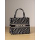 DIOR Small Dior Book Tote Ecru and Blue Dior Oblique Embroidery