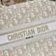 DIOR Small Dior Book Tote White and Gold-Tone Dior Oblique Embroidery