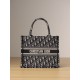 DIOR Small Dior Book Tote Ecru and Blue Dior Oblique Embroidery