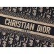 DIOR Small Dior Book Tote Ecru and Blue Dior Oblique Embroidery