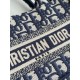 DIOR Mini Dior Book Tote Blue Dior Oblique Embroidery