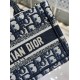 DIOR Mini Dior Book Tote Blue Dior Oblique Embroidery