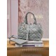 DIOR Medium Dior Toujours Bag Stone Gray Macrocannage Calfskin