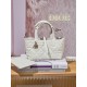 DIOR Small Dior Toujours Bag Latte Macrocannage Calfskin