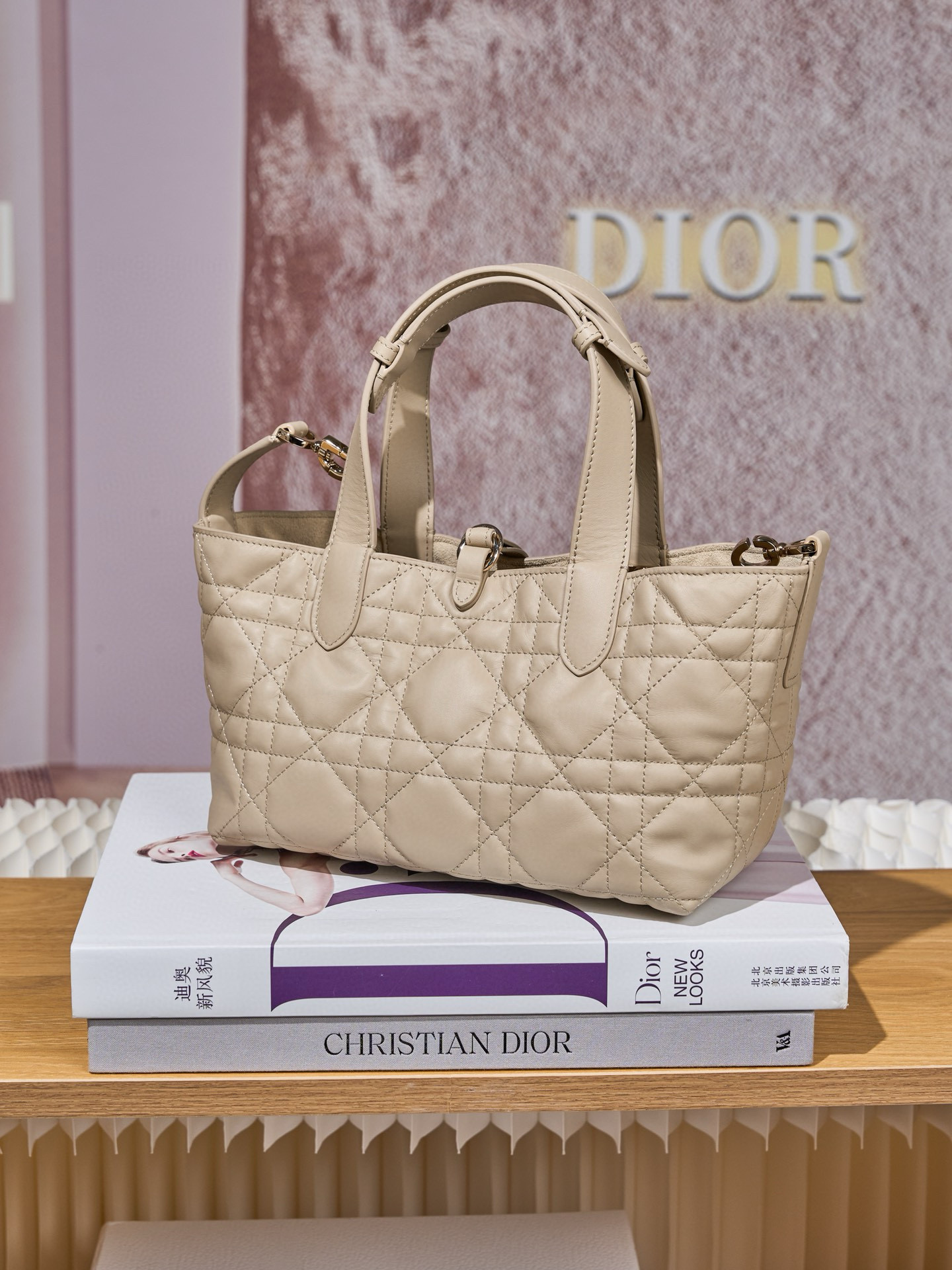 DIOR Small Dior Toujours Bag Powder Beige Macrocannage Calfskin