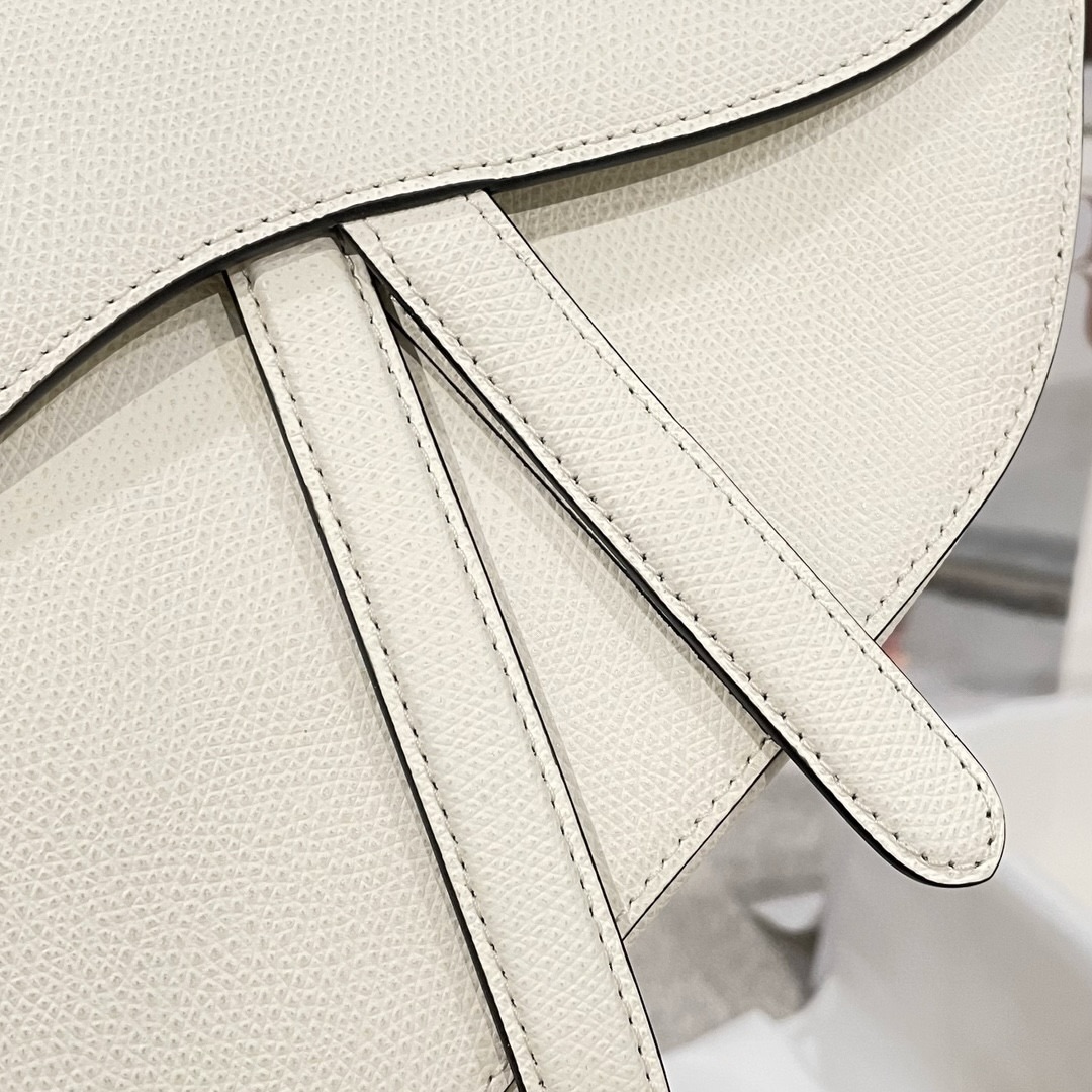 DIOR Saddle Bag with Strap Latte Grained Calfskin