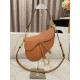 DIOR Saddle Bag with Strap Golden Saddle Grained Calfskin