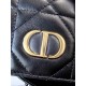 DIOR Medium Dior Caro Backpack Black Macrocannage Lambskin