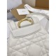 DIOR Medium Dior Caro Backpack Latte Macrocannage Lambskin